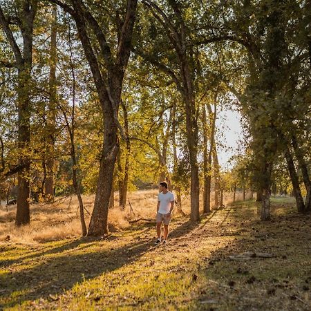 Lovers Nest By Casa Oso With Private Hiking Trails And Pond Mariposa Esterno foto