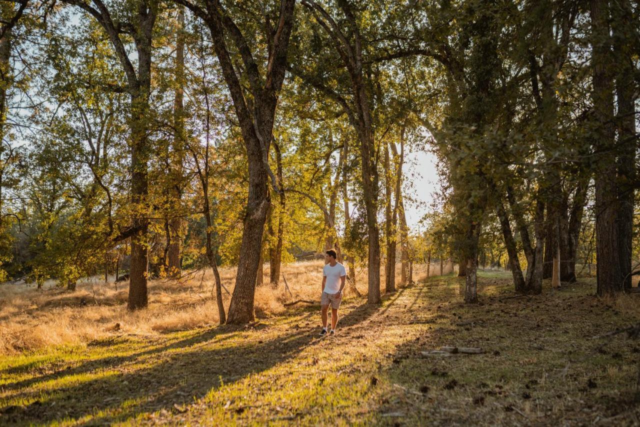 Lovers Nest By Casa Oso With Private Hiking Trails And Pond Mariposa Esterno foto